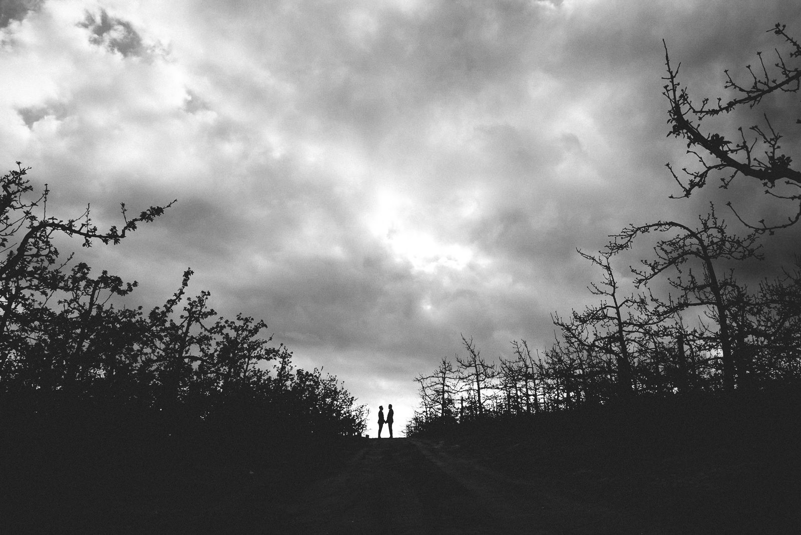 cape town wedding photography south africa matt masson old mac daddy elgin